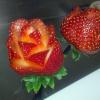 Strawberry Roses